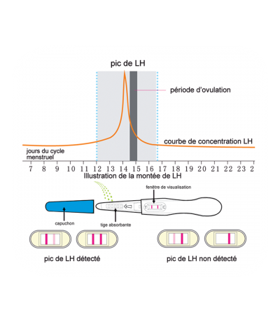 Test d'ovulation Serenitest